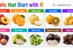 55 List of Fruits Begins with N: Ultimate List and Pictures