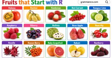 61 Fruits that Starts with R: Full List with Pictures and Facts