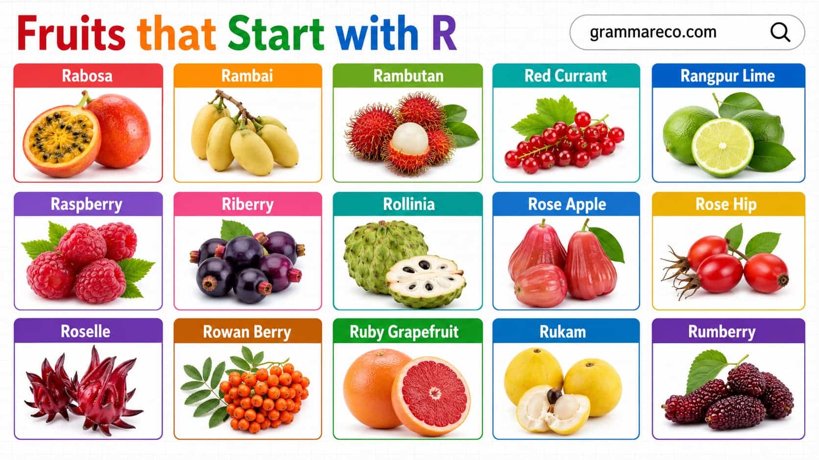 Insure R Fruit 61 Fruits that Starts with R: Full List with Pictures and Facts ...