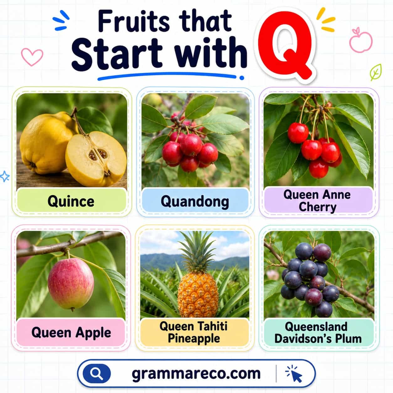 A Fruits that Starts with Q for Kids