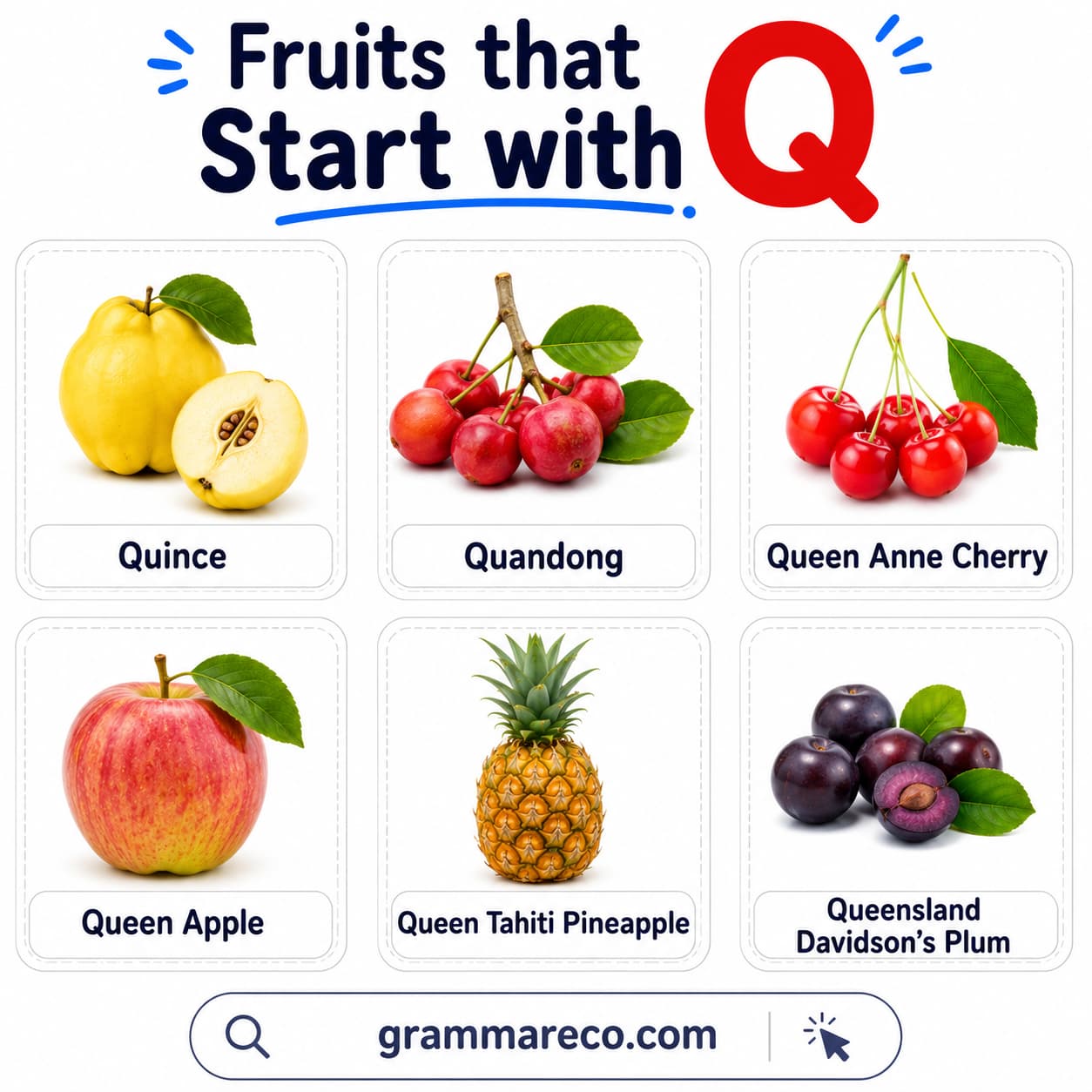 Common Fruits that Starts With Q with Pictures