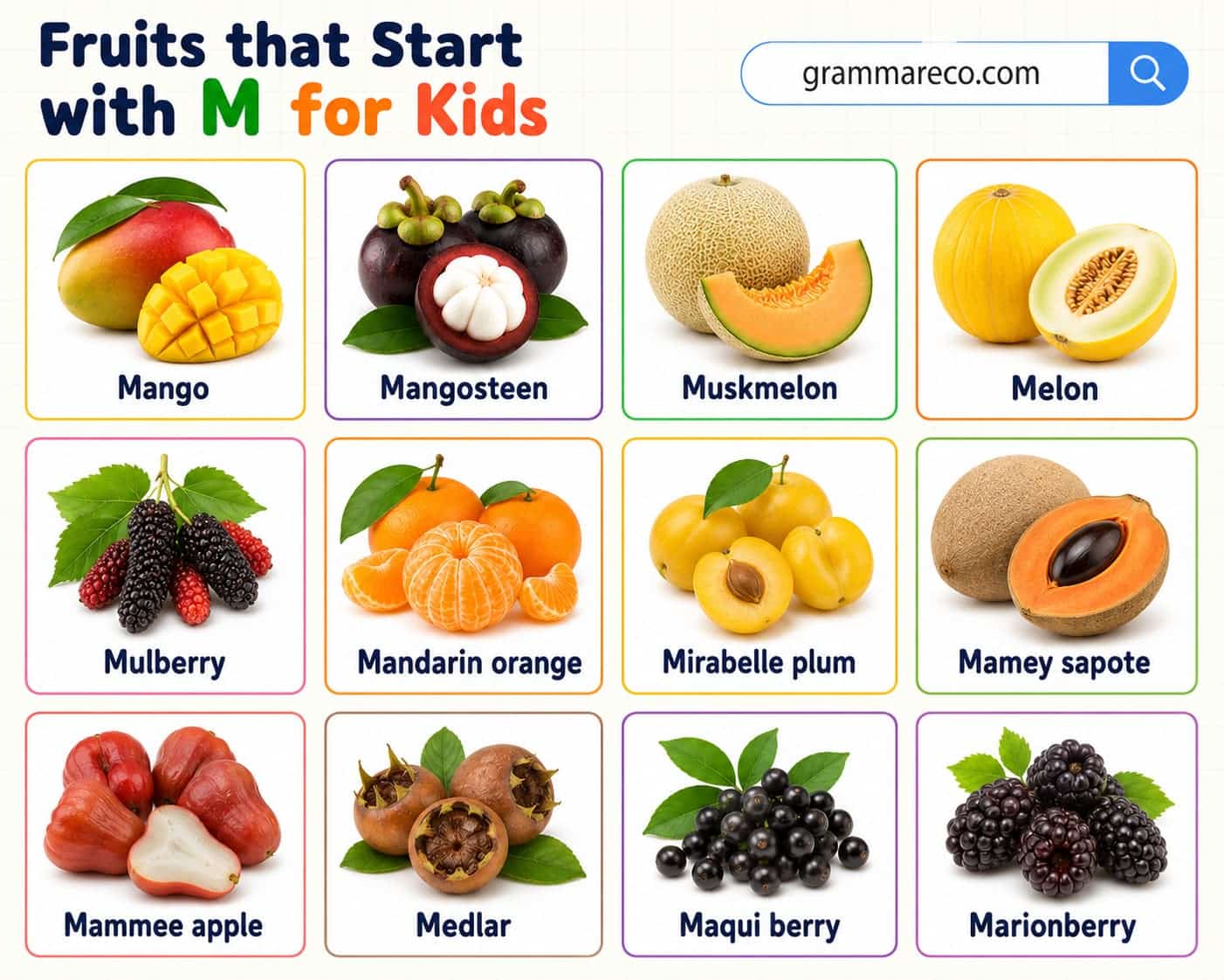 Fruits That Start With M for Kids with Pictures