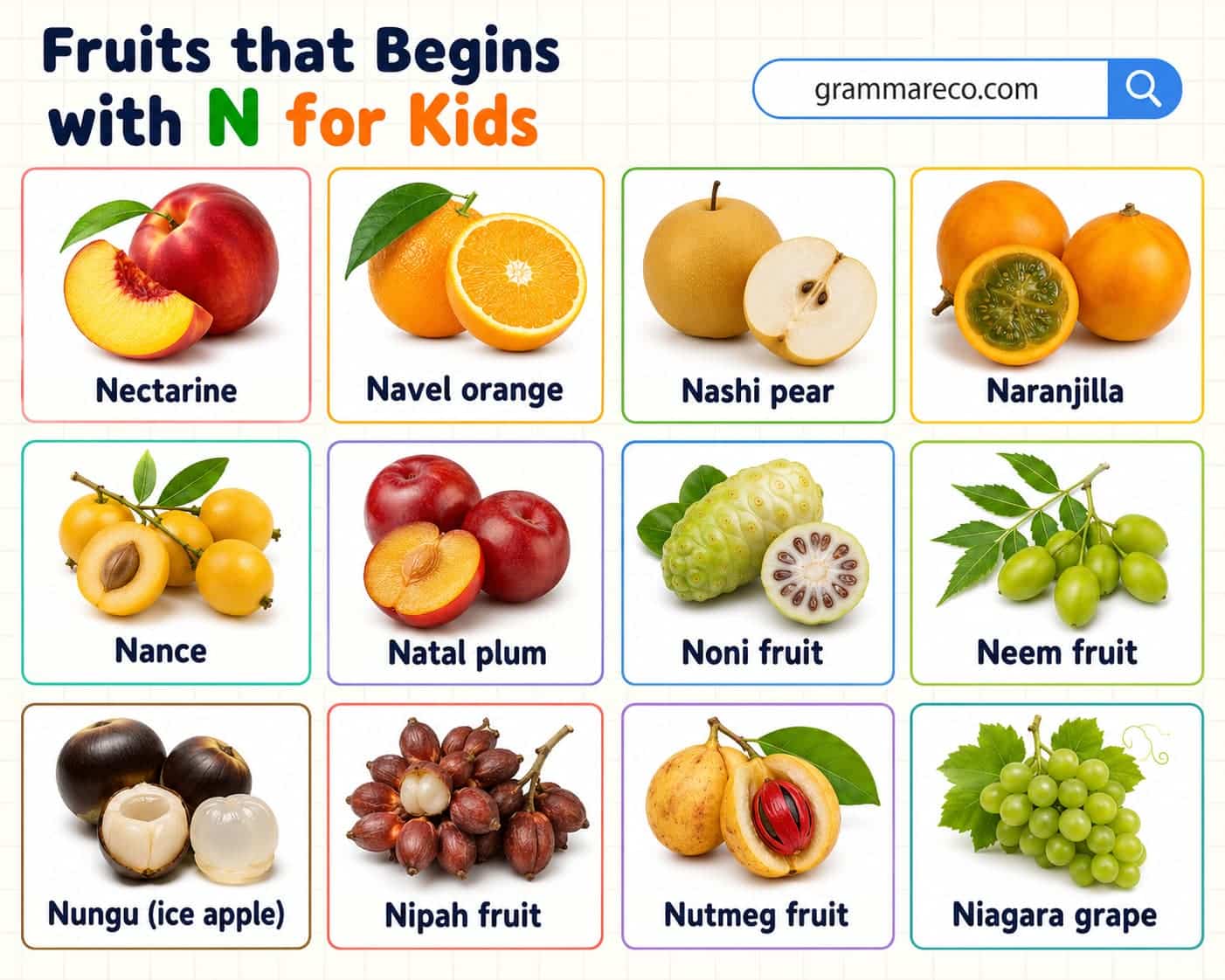 Fruits That Start With N for Kids and Pictures