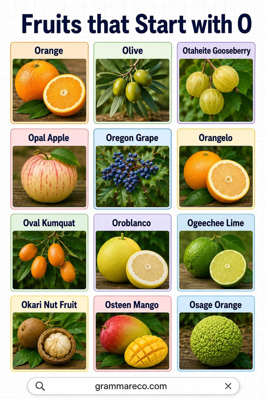 Fruits that Start with O with Pictures