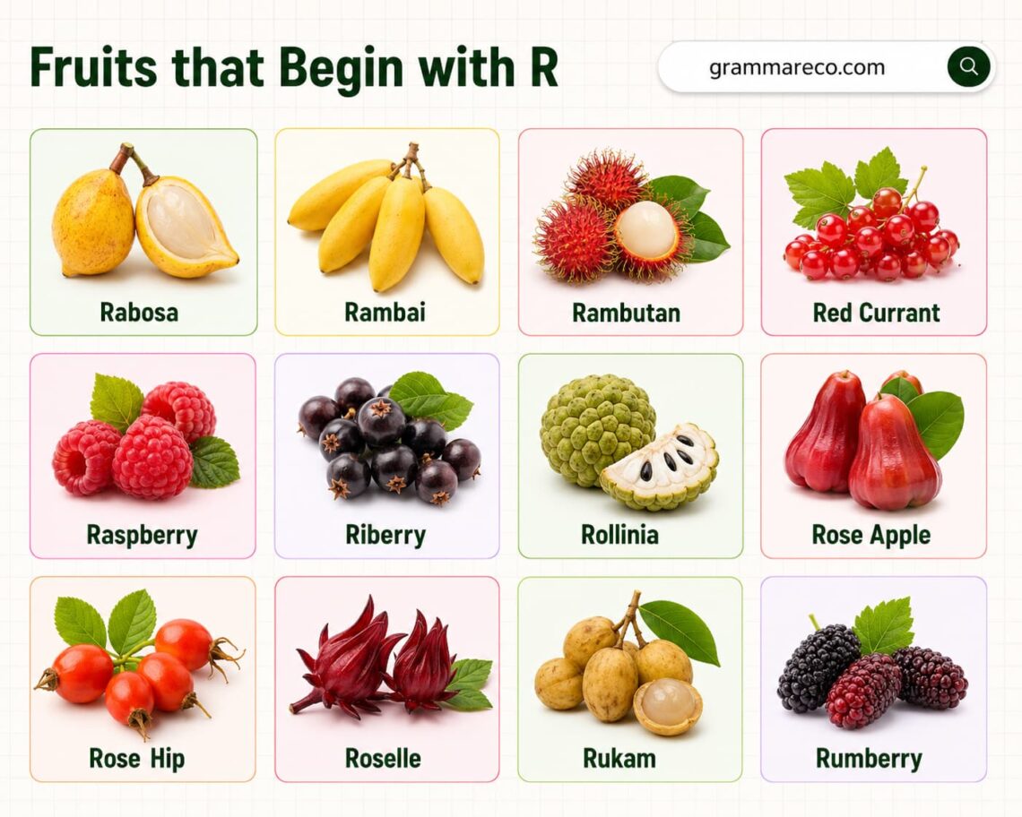 61 Fruits that Starts with R: Full List with Pictures and Facts ...