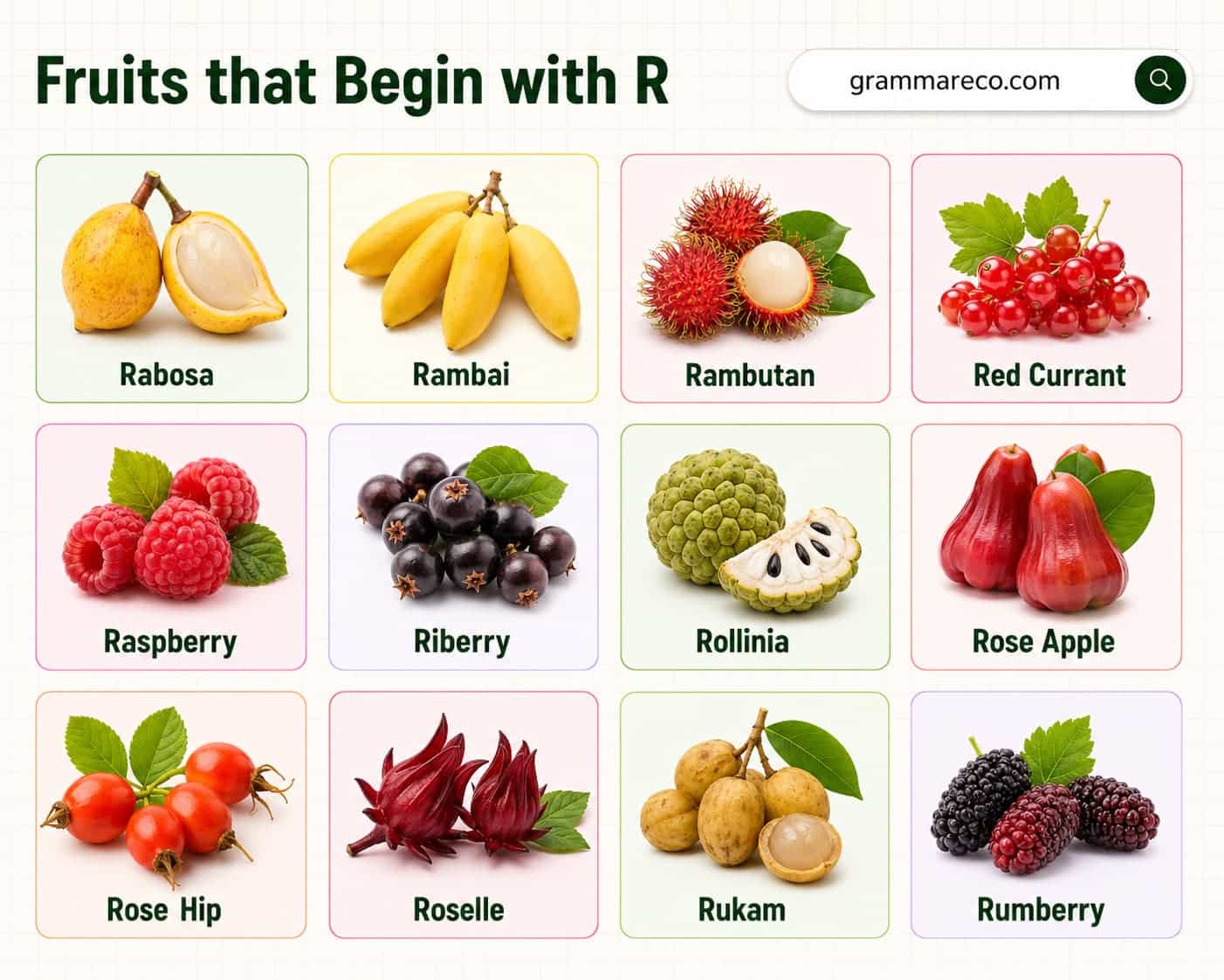 Fruits that Start with R with Pictures and Fun Facts