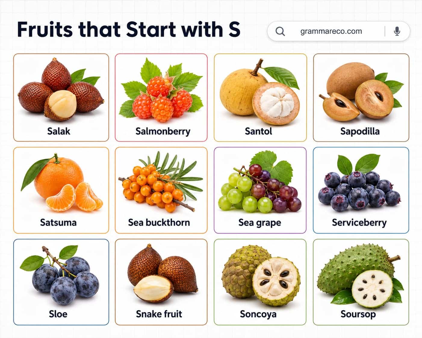 Fruits that Starts with S with Pictures and Facts