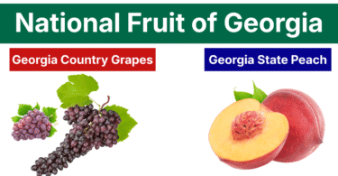 Georgia National Fruit: Information and their Pictures