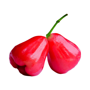 Malay Apple - Fruits that Start with M