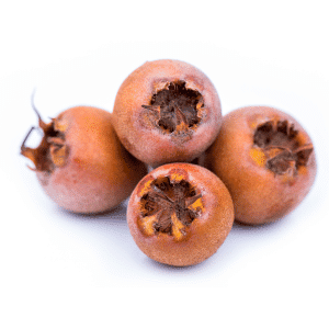 Medlar - Fruit Names that Starts with M Letter