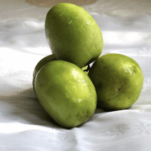 Monkey Apple - Fruits Names that Starts with M Letter