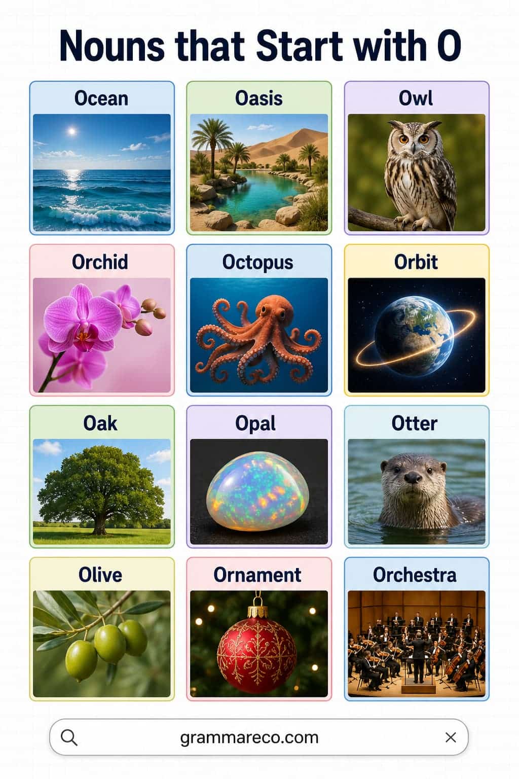 Noun that are Starting with O with Pictures