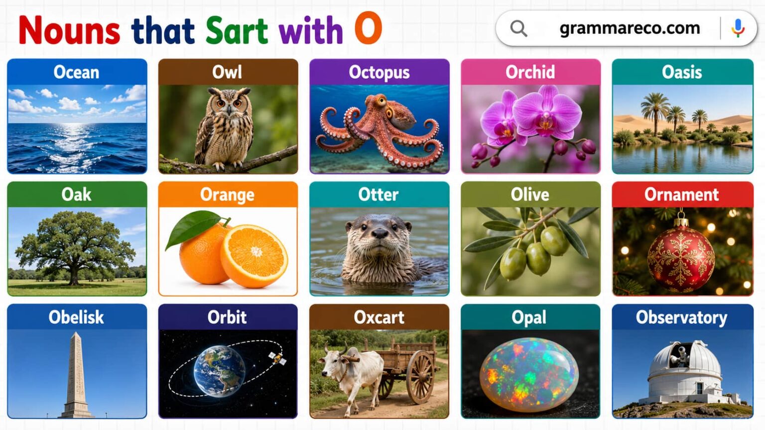Nouns Beginning with O: 501+ O Nouns in English with Examples ...