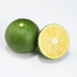 Ogeechee Lime - Fruits Beginning with O