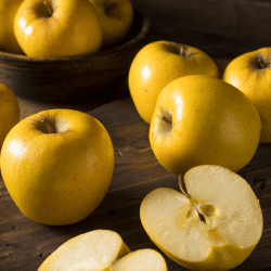 Opal Apple - Fruit that Starting with O