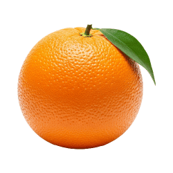 Orange - Fruits that Start with O