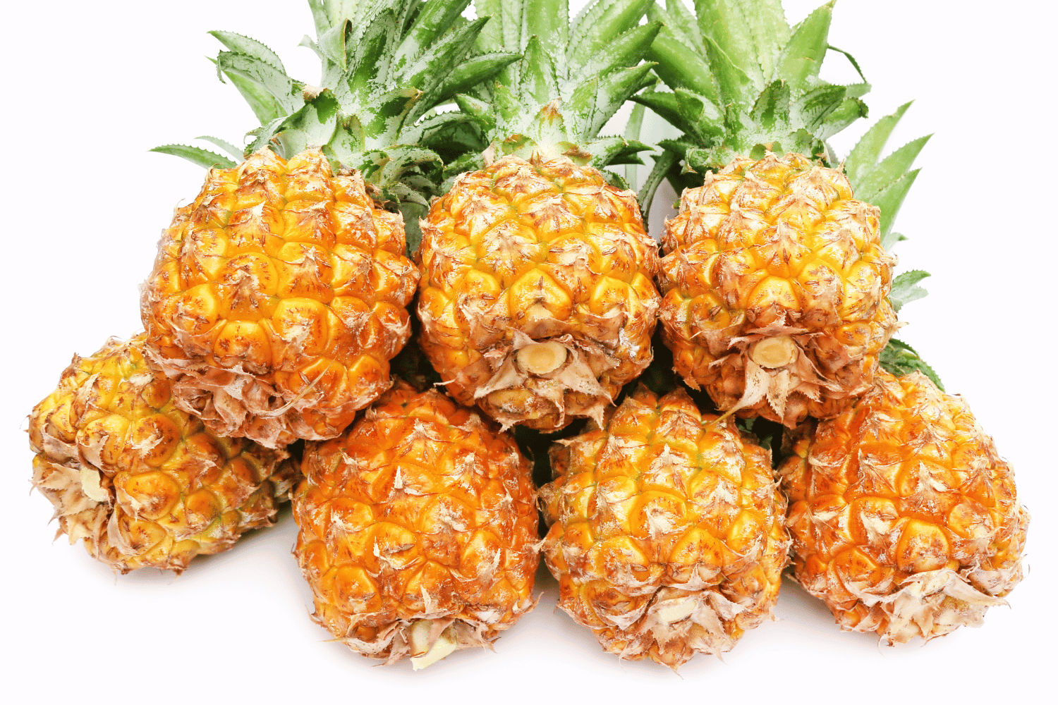 Queen Pineapple - Fruits that Starts with Q