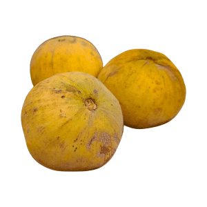 Santol Fruit: Stone Fruits Begin with S