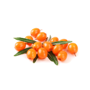Sea Buckthorn S Fruits