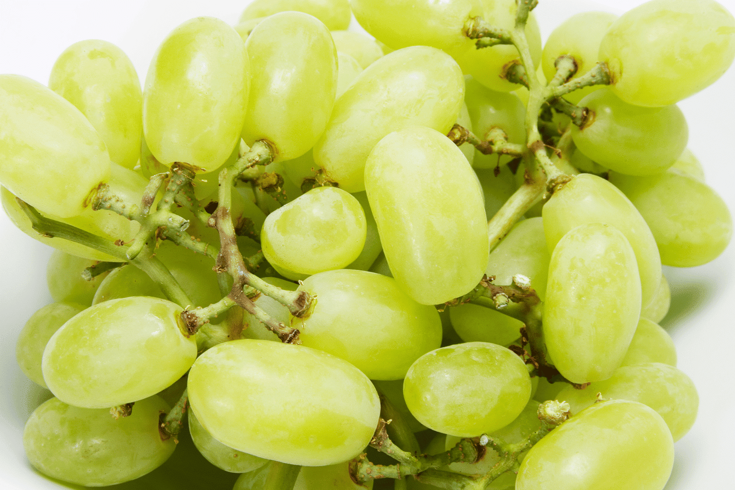 Sultana Grapes National Fruits Turkish