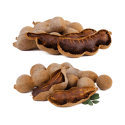 Tamarind - Fruits that Start with T