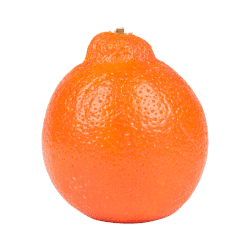 Tangelo - Fruits that Start with T