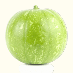 Tinda (Apple Gourd Fruit)