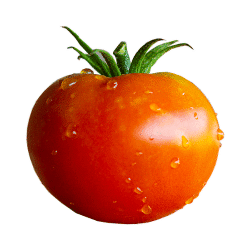 Tomato - Fruit that Begin with T with Pictures