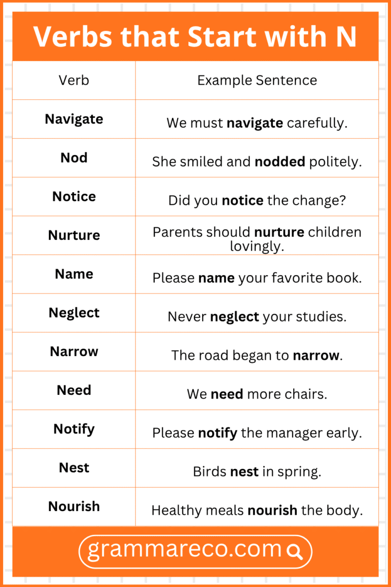 401 Nouns that Start with N with Types and Examples in English ...