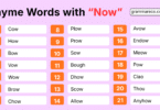 Rhymes with Now: 552 Rhyming Words for Poems, Songs and Writing
