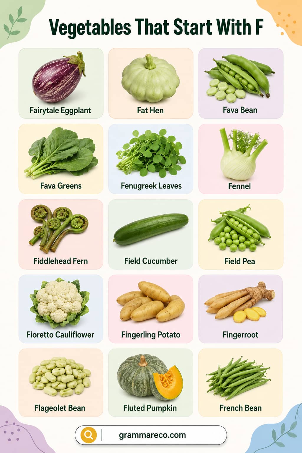 Vegetables Starting with F with Pictures