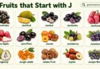 Best Fruits Begins with J: 36 Fruits that Start with J with Pictures