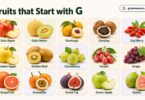 Fruit Starting with G: 40+ Fruits that Start with G with Pictures