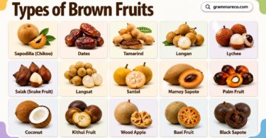 50+ Brown Fruits with Pictures: List of Brown Fruit with Names