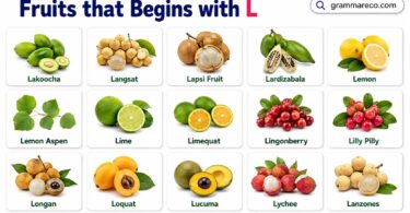 51 Fabulous Fruits that Start with L with Pictures - Ultimate List