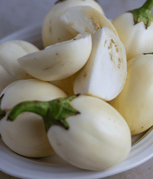 African Eggplant - Vegetables that start with A