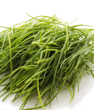 Agretti Vegetable - Vegetables that start with A