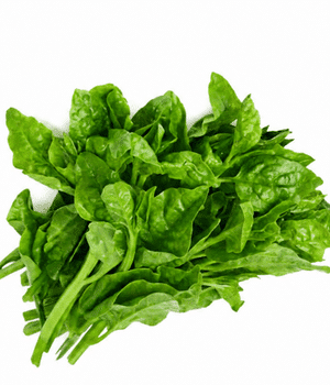 Alugbati - Vegetable Names that Begins with A