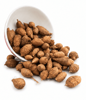 American Groundnut - Vegetable Names that Begins with A