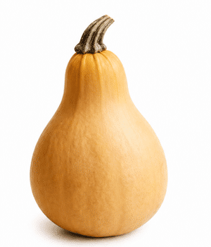 Arikara Squash - Vegetable Names that Begins with A