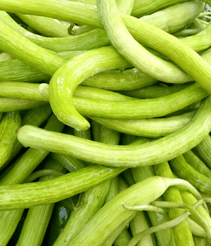 Armenian Cucumber - Vegetable Names that Begins with A