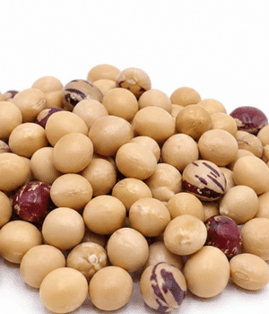 Bambara Groundnut - Vegetables that start with B