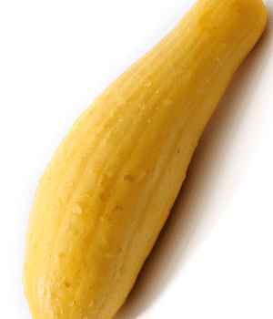 Banana Squash - Vegetables that start with B