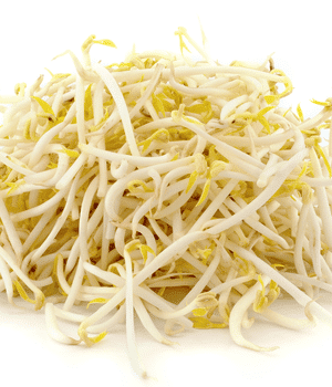 Bean Sprouts