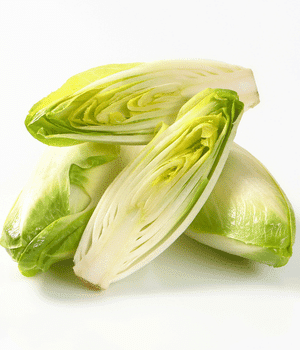 Belgian Endive - Vegetable Names that Begins with B