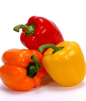 Bell Pepper - Vegetable Names that Begins with B
