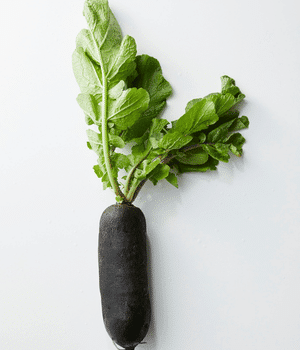 Black Radish - Vegetable Names that Begins with B