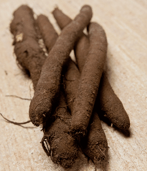 Black Salsify - Vegetable Names that Begins with B