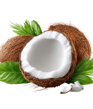 Coconut