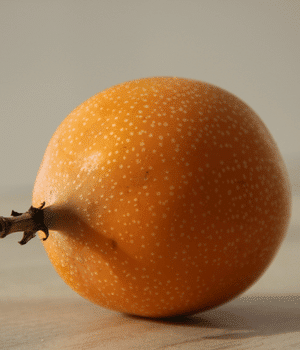 Brown Passion Fruit